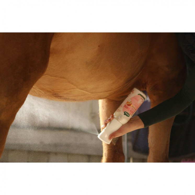 Easy Shine Intense RAVENE