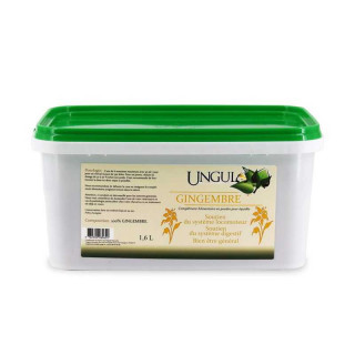 Gingembre UNGULA