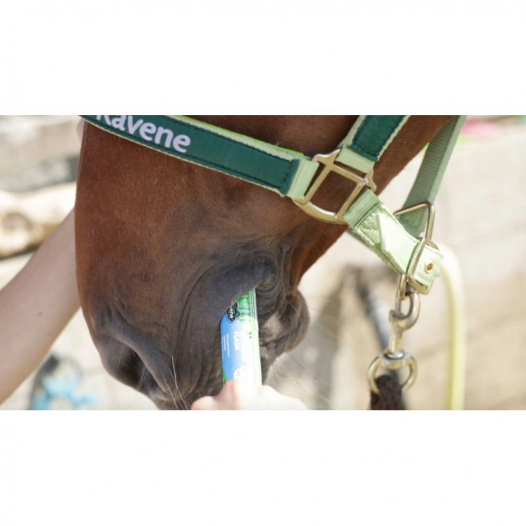 Nutrilyte flash RAVENE