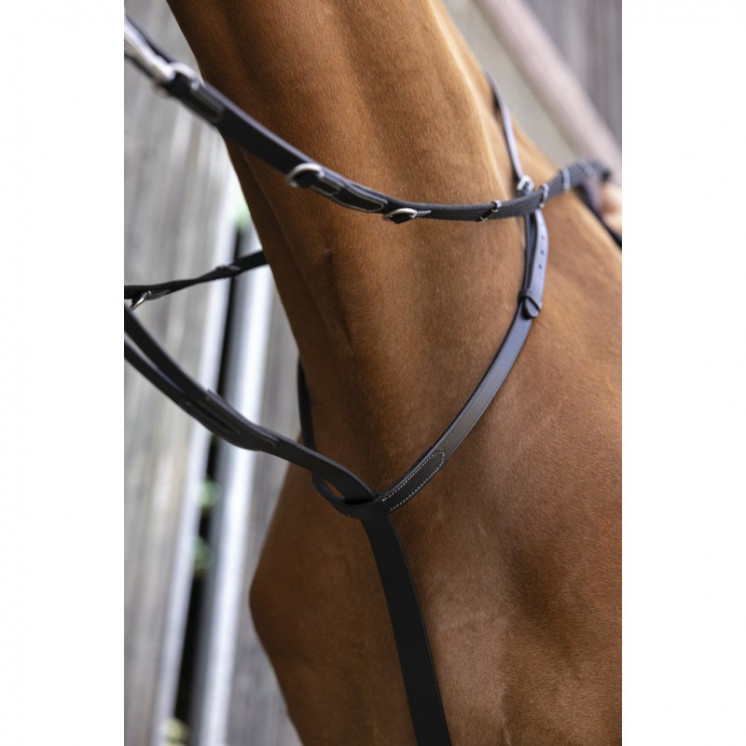 Enrênement Thiedeman NORTON Sellerie Equi'Nature