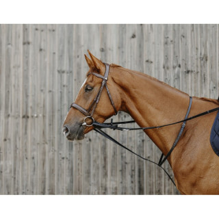 Enrênement Thiedeman NORTON Sellerie Equi'Nature